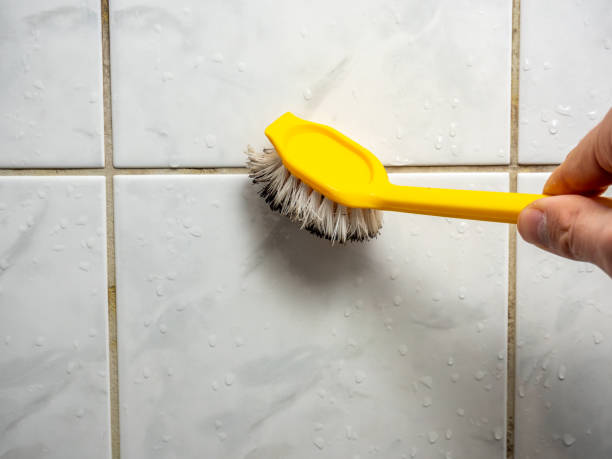 Best Mold Damage Repair  in St Jaco, IL