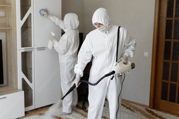 Certified Mold Removal in St Jaco, IL
